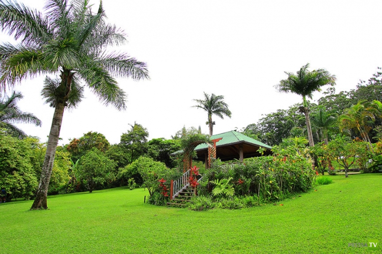    GARDEN OF EDEN ARBORETUM and BOTANICAL GARDEN   (33 )