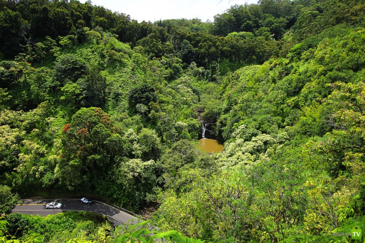    GARDEN OF EDEN ARBORETUM and BOTANICAL GARDEN   (33 )