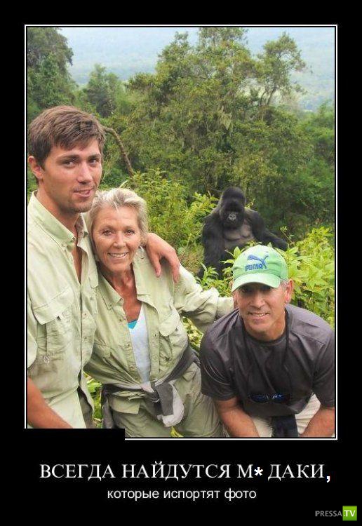 ������������ �� ������� 25 (30 ����)