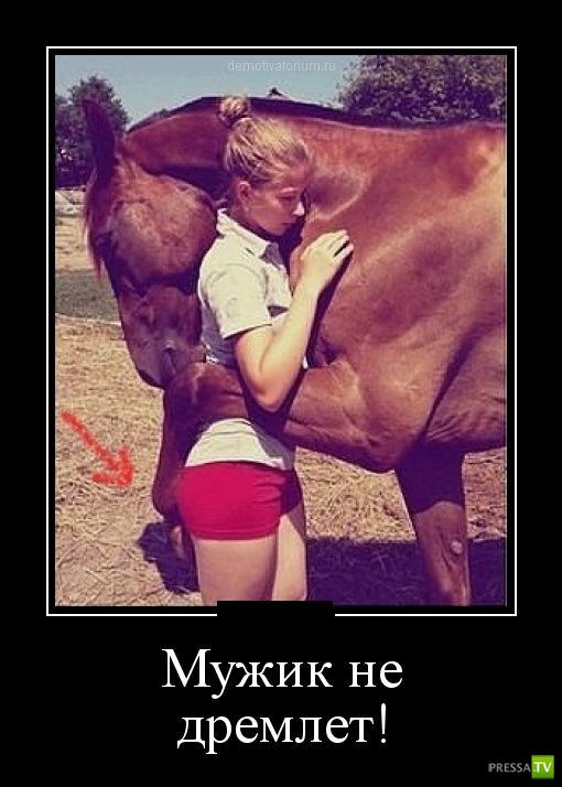 ������������ �� ������� 25 (30 ����)