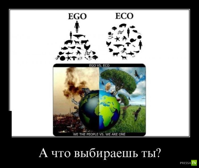 ������������ �� ������� 25 (30 ����)