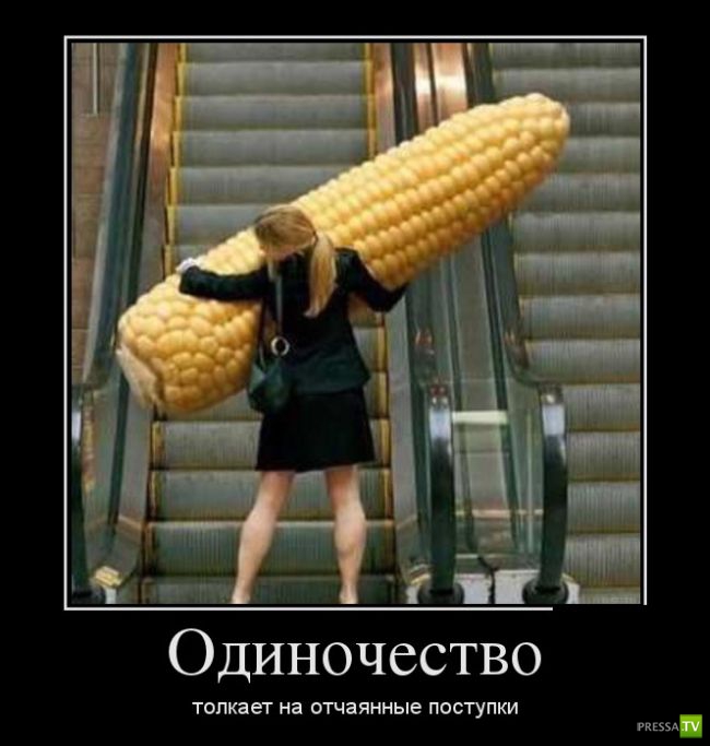 ������������ �� ������� 25 (30 ����)