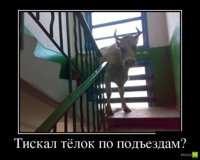 ������������ �� ������� 25 (30 ����)