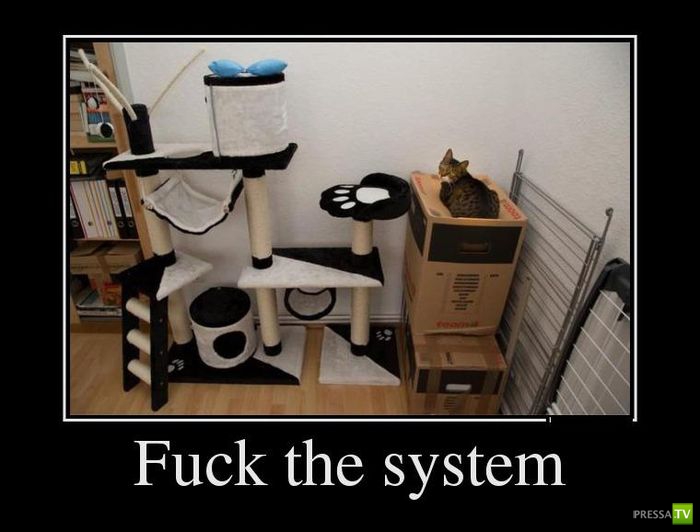 ������������ �� ������� 26 (31 ����)