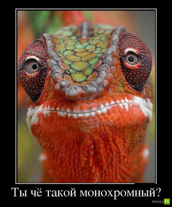 ������������ �� ������� 26 (31 ����)