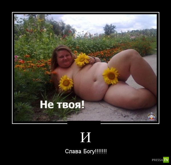 ������������ �� ������� 26 (31 ����)