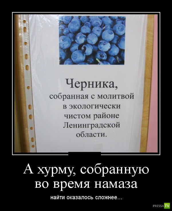 ������������ �� ������� 26 (31 ����)