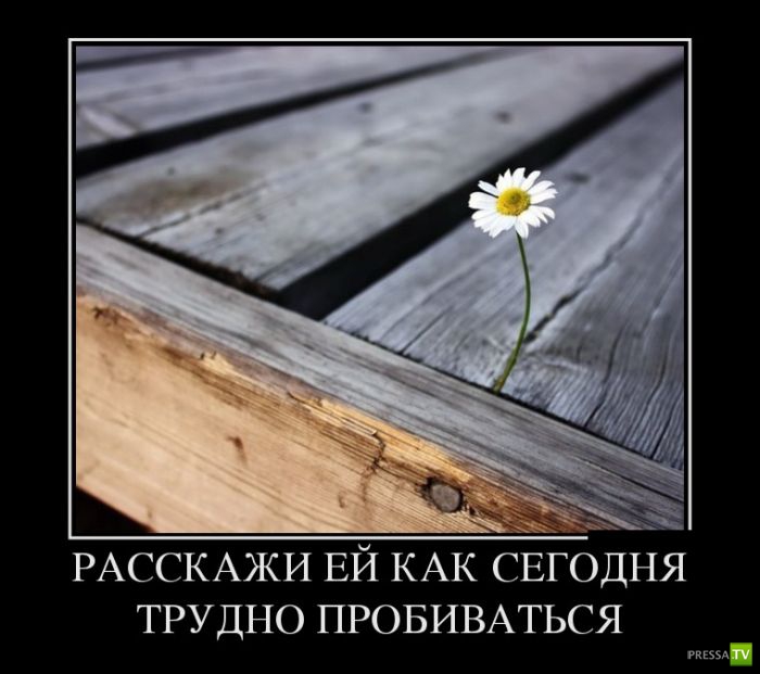 ������������ �� ������� 26 (31 ����)