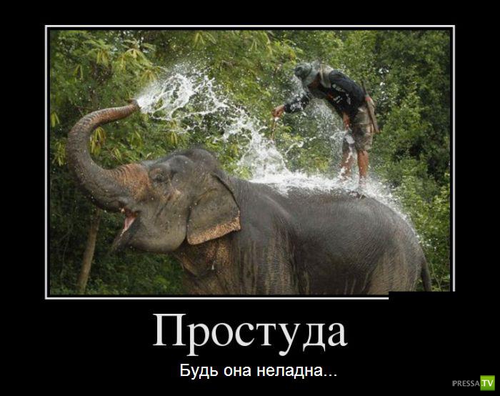 ������������ �� ������� 29 (30 ����)