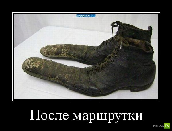 ������������ �� ������� 29 (30 ����)