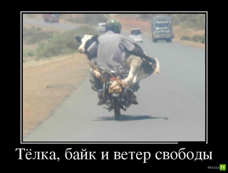 ������������ �� ������� 29 (30 ����)