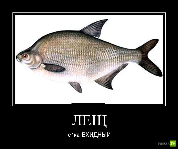 ������������ �� ������� 29 (30 ����)