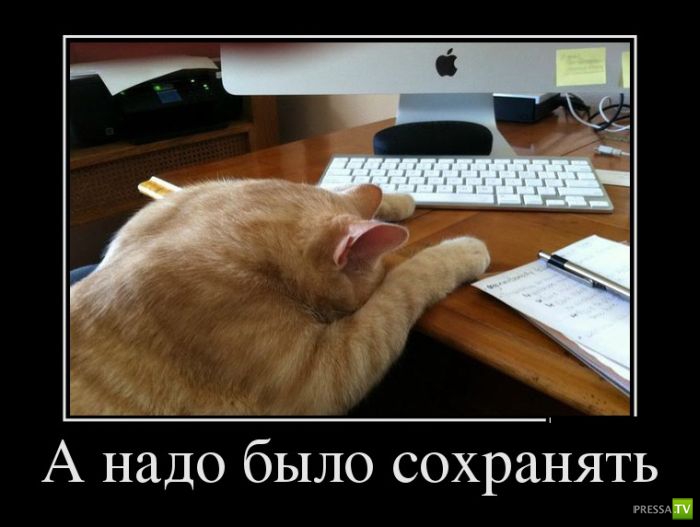 ������������ �� ������� 29 (30 ����)