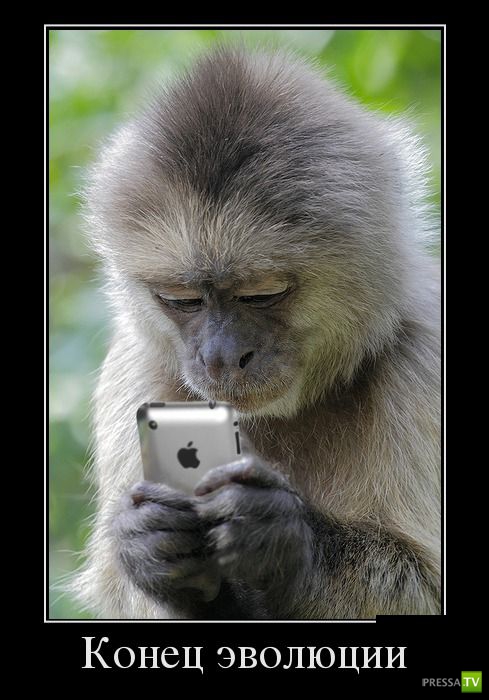 ������������ �� ������� 29 (30 ����)