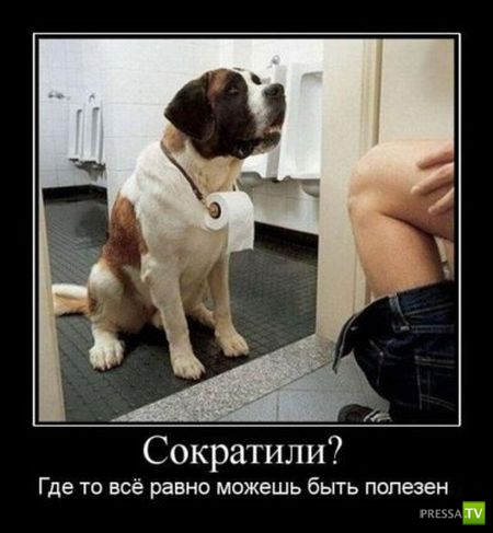 ������������ �� ������� 29 (30 ����)