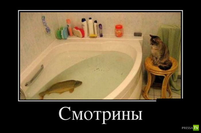 ������������ �� ������� 30 (30 ����)