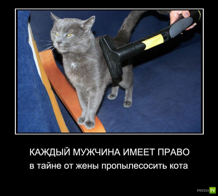 ������������ �� ������� 30 (30 ����)