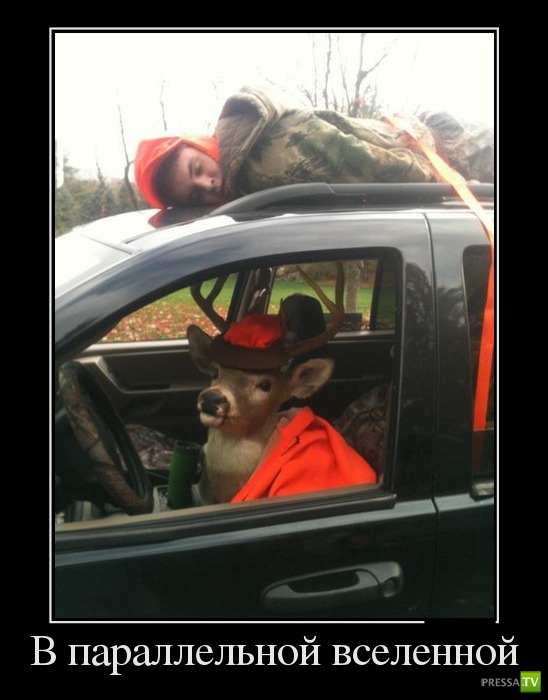 ������������ �� ������� 30 (30 ����)