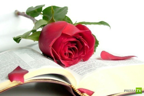 Интересное происхождение некоторых слов... Интересное происхождение некоторых слов...