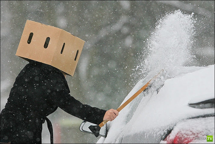 ���� �� ������� ����� - �������� ����������� (31 ����)