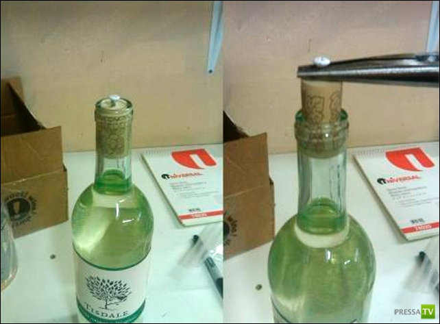 ���� �� ������� ����� - �������� ����������� (31 ����)