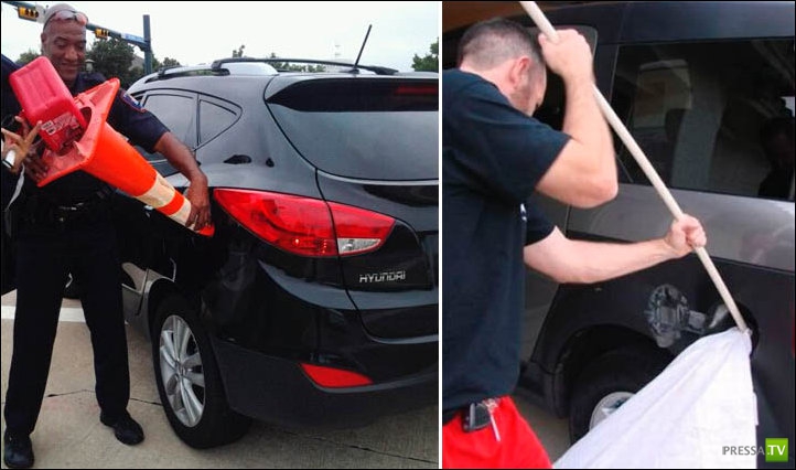 ���� �� ������� ����� - �������� ����������� (31 ����)