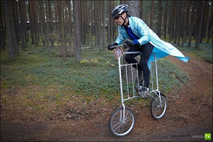 ���� �� ������� ����� - �������� ����������� (31 ����)