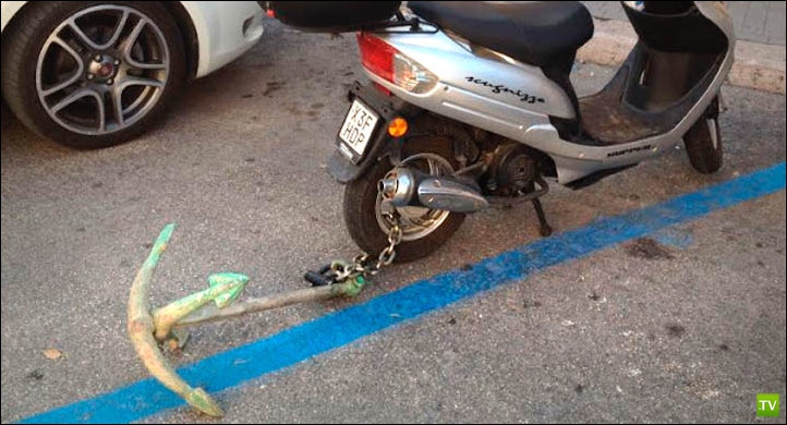 ���� �� ������� ����� - �������� ����������� (31 ����)