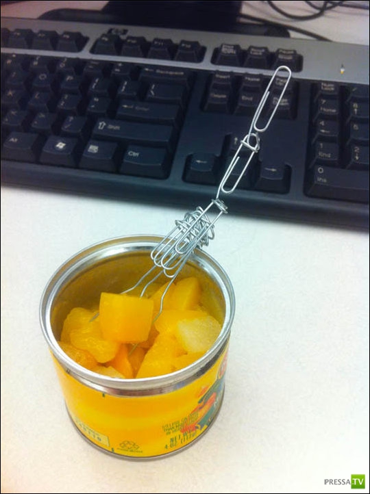 ���� �� ������� ����� - �������� ����������� (31 ����)