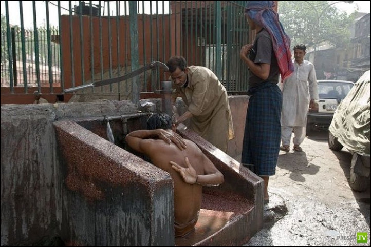 ���� �� ������� ����� - �������� ����������� (31 ����)