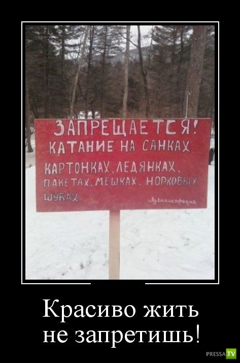 ������������ �� ������� 31 (30 ����)