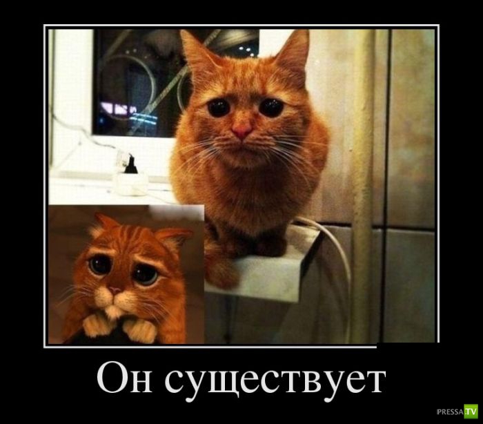 ������������ �� ������� 31 (30 ����)