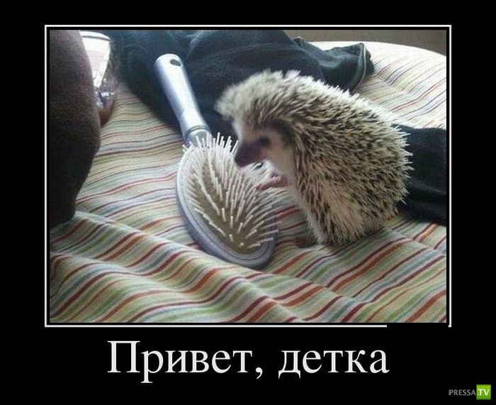 ������������ �� ������� 31 (30 ����)