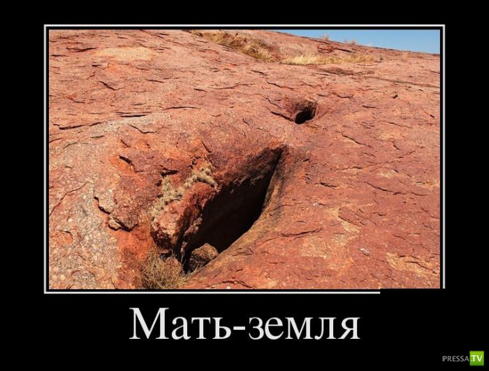 ������������ �� ������� 31 (30 ����)