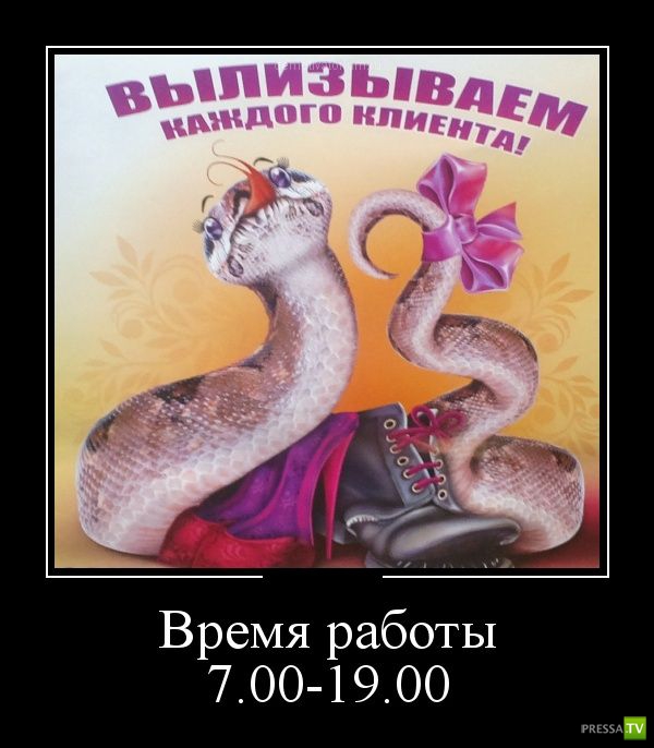 ������������ �� ������� 31 (30 ����)