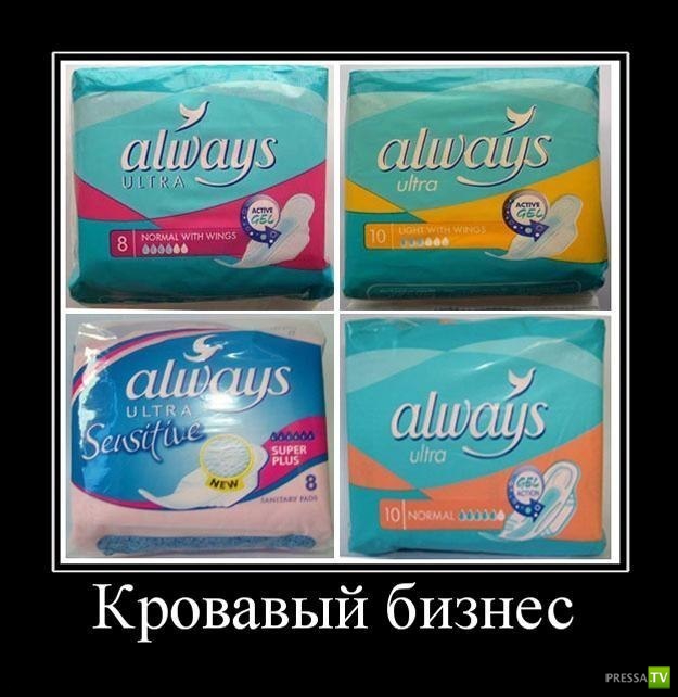 ������������ �� ������� 31 (30 ����)