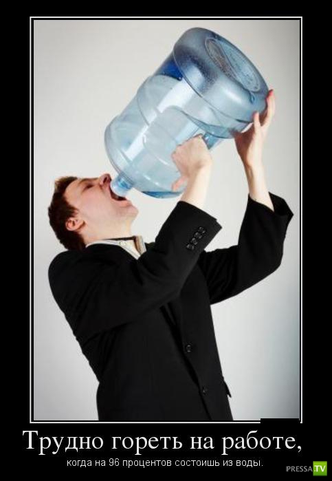 ������������ �� ������ 1 (31 ����)