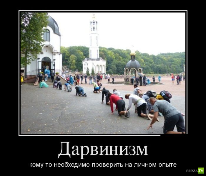 ������������ �� ������ 1 (31 ����)