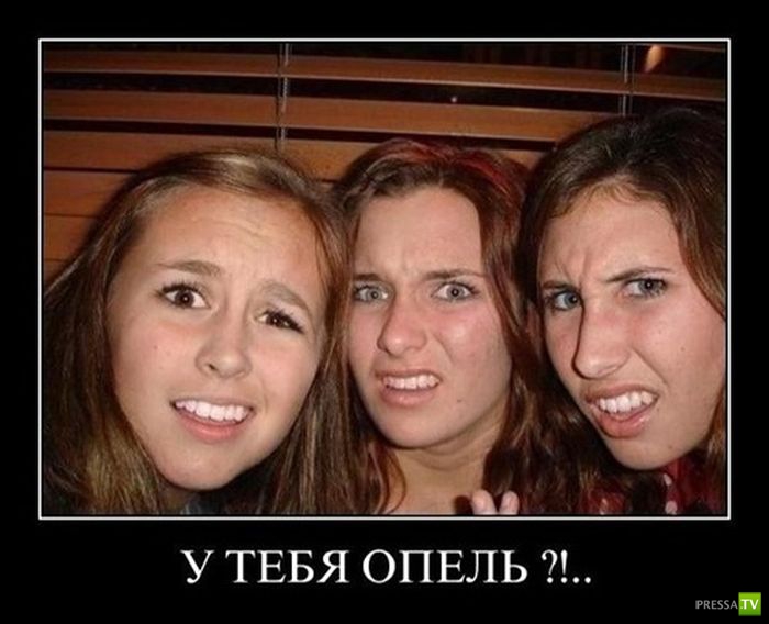 ������������ �� ������ 1 (31 ����)