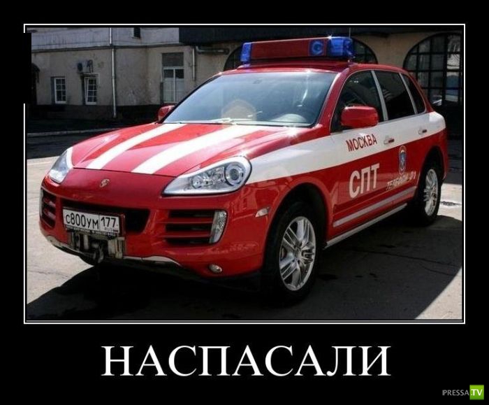 ������������ �� ������ 1 (31 ����)