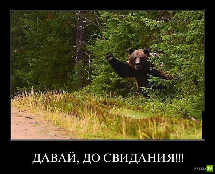 ������������ �� ������ 1 (31 ����)