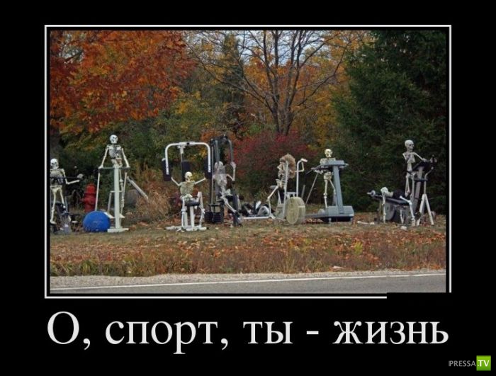 ������������ �� ������ 1 (31 ����)