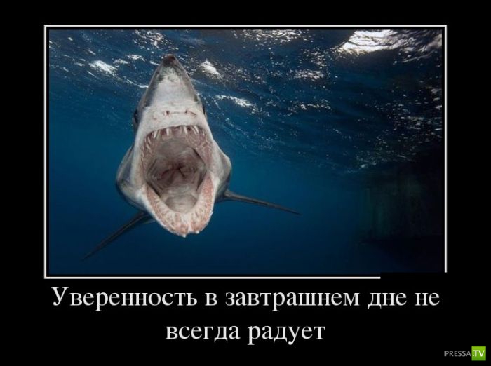 ������������ �� ������ 1 (31 ����)