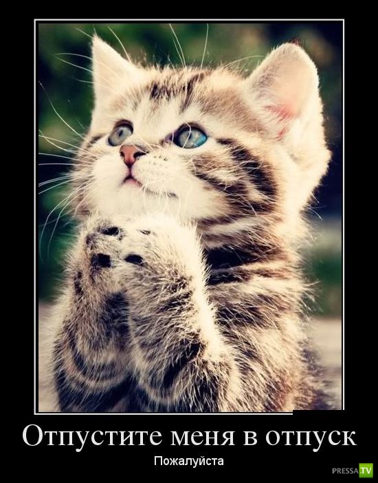 ������������ �� ������ 1 (31 ����)