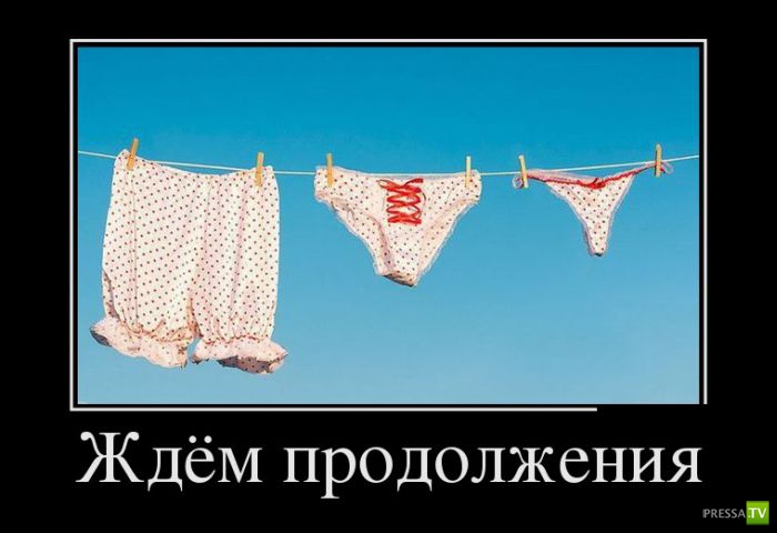 ������������ �� ������ 1 (31 ����)