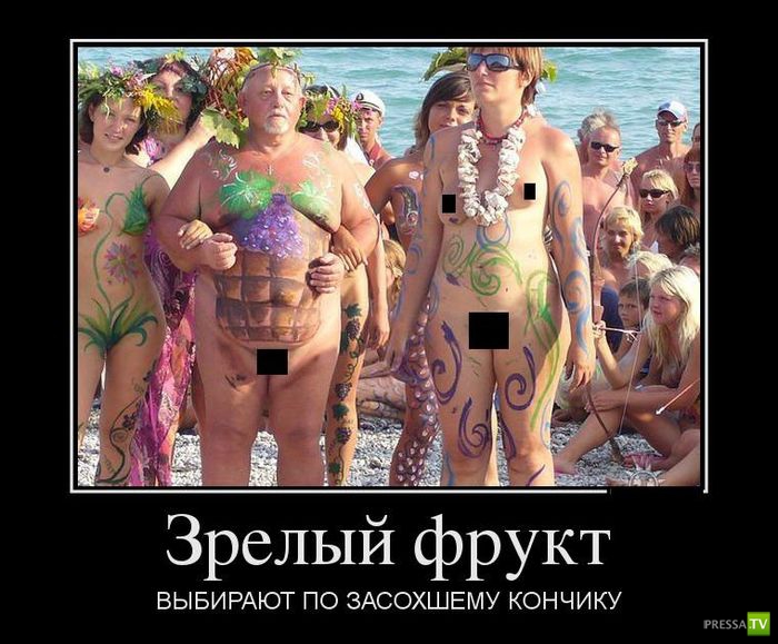 ������������ �� ������ 1 (31 ����)