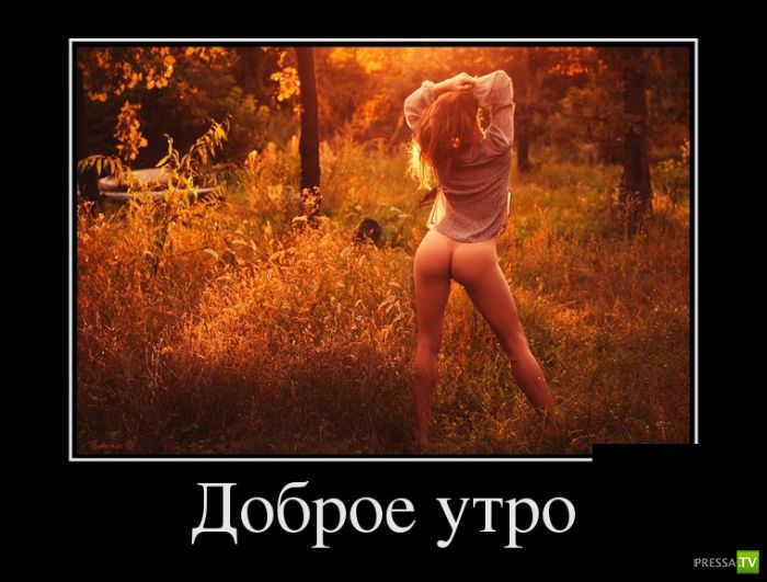 ������������ �� ������ 1 (31 ����)