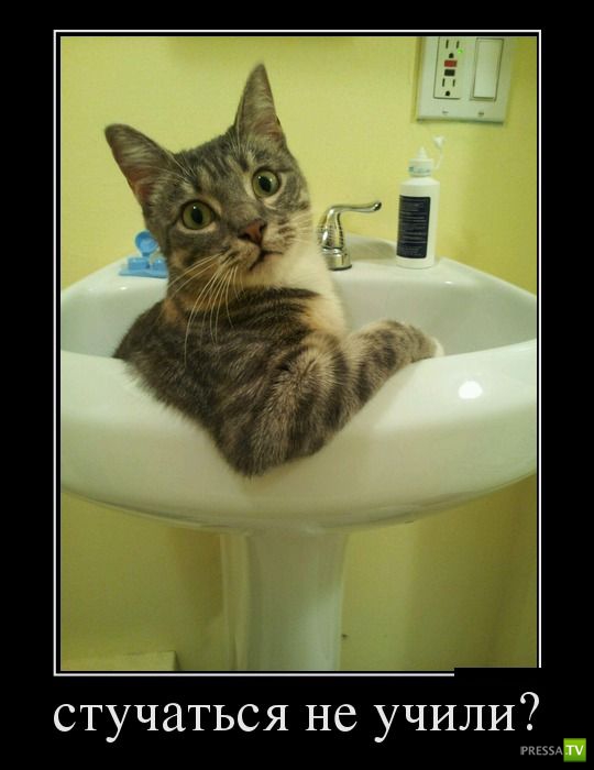 ������������ �� ������ 1 (31 ����)