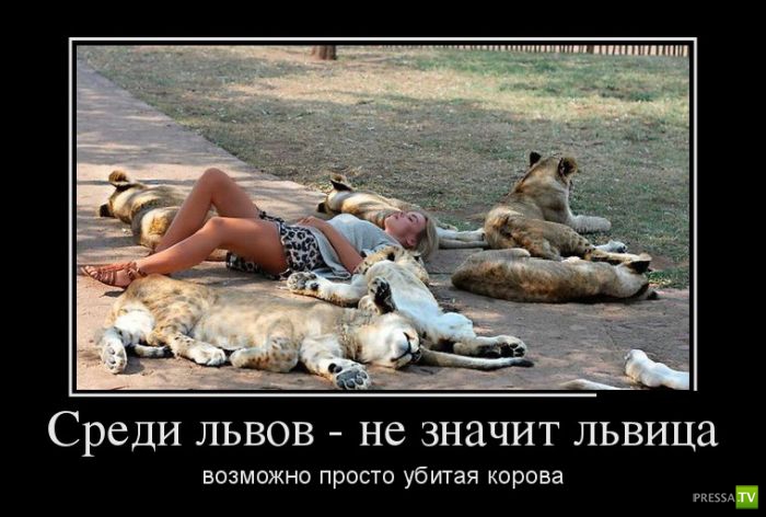 ������������ �� ������ 1 (31 ����)