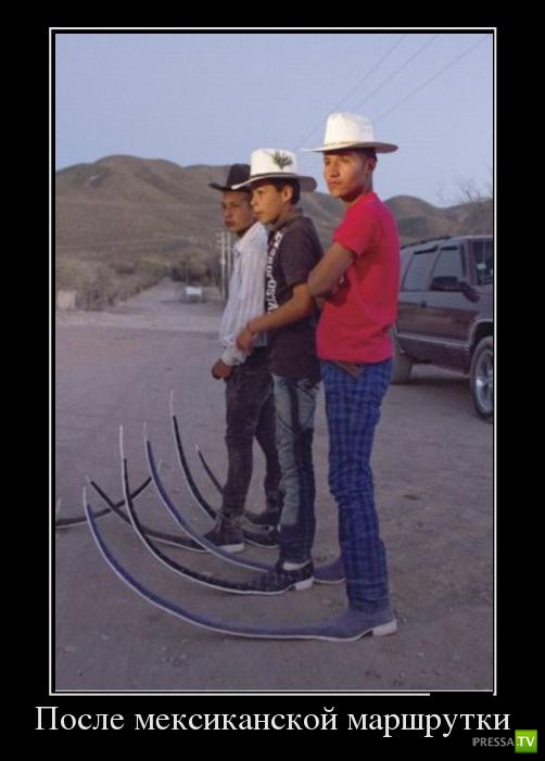 ������������ �� ������ 2 (30 ����)